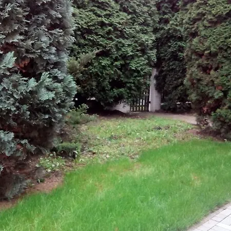 Karina * Karlovy Vary